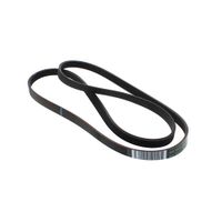 Belt Eureka 1239/j5 J00278403