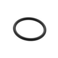 Seal 'o'ring (23,81x2,62) J00053790