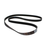 Belt H8 1194 J6 J00655907