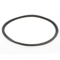 Door Seal Aqualtis Grey J00243987