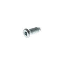 Torx Screw M8 J00139550