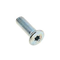 Fixing Glass Screw J00115859