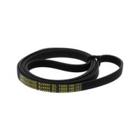 Drive Belt L= 1885 Mm Elastic J00488454