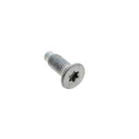 Hinge Screw M5x14 Tsp 6l-t20 90g J00244869