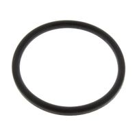 O-ring J00702582