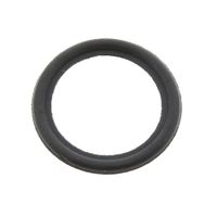 Gasket J00345517